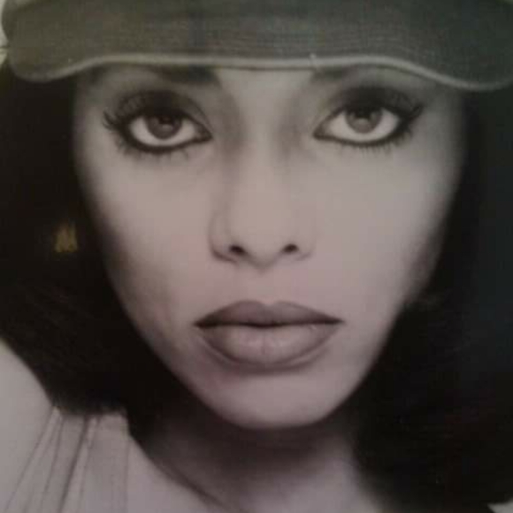 Meet your Posher, Cinnamon - Picture 1 of 1